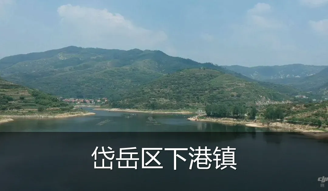 岱岳区下港镇