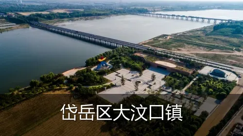 岱岳区大汶口镇