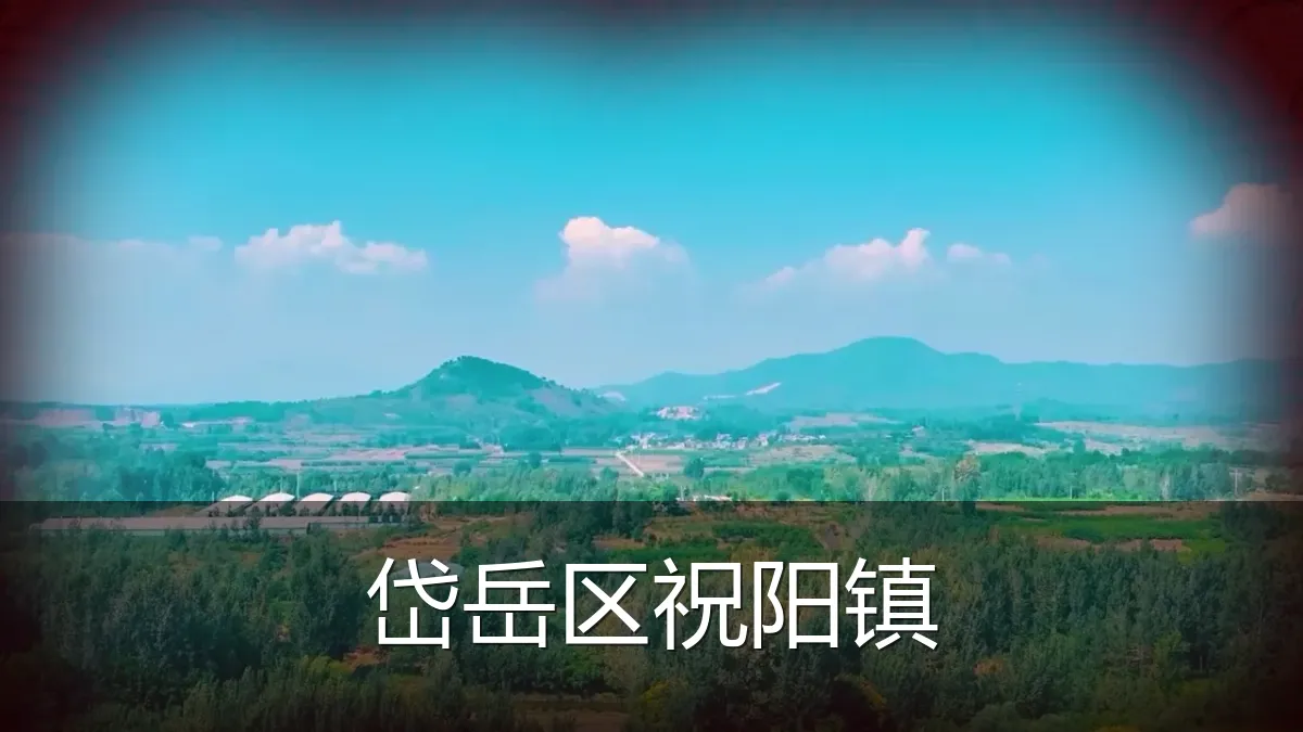 岱岳区祝阳镇