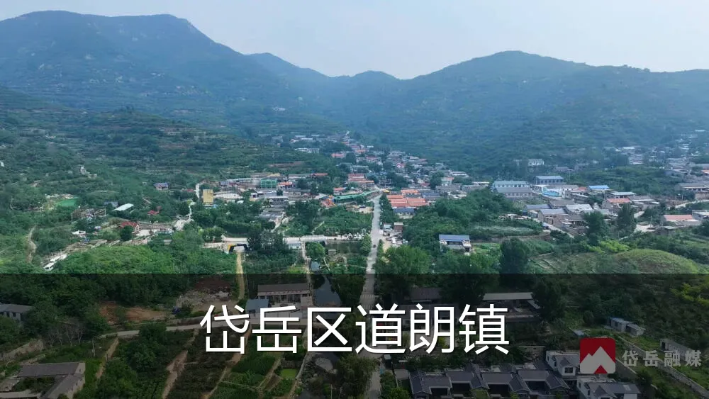 岱岳区道朗镇