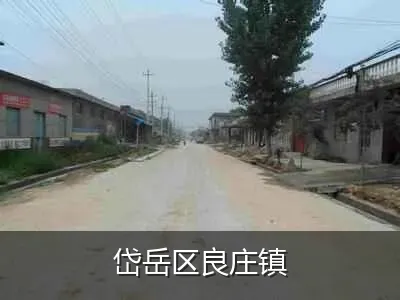 岱岳区良庄镇